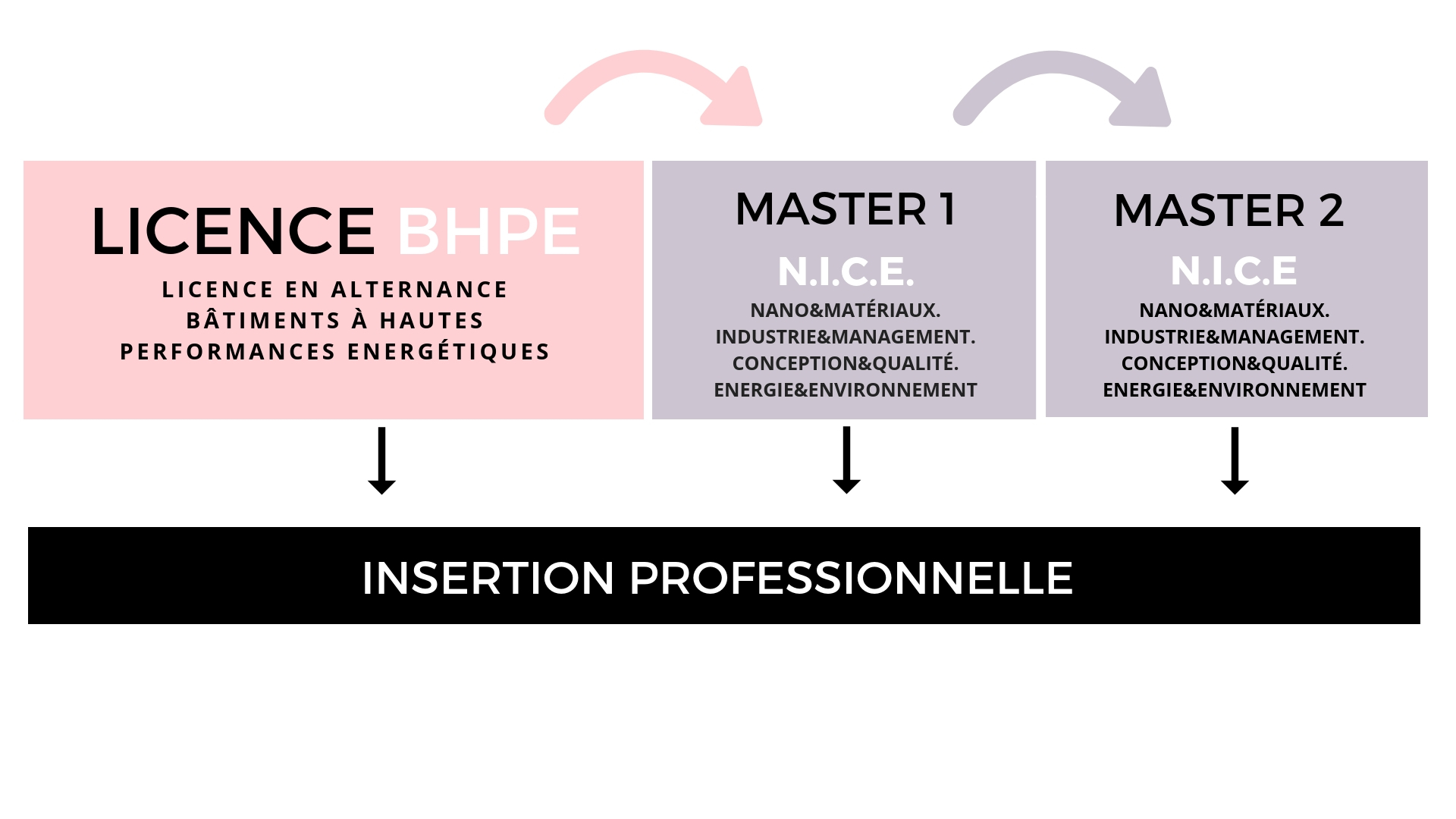 infographie-licence-poursuite-en-master