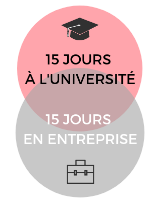 icone-licence-cours_fotor
