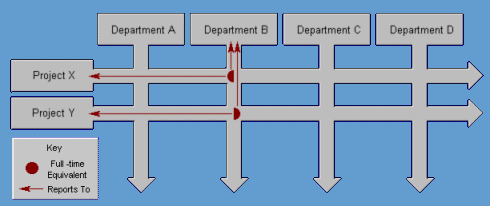 project management training - matrix management example