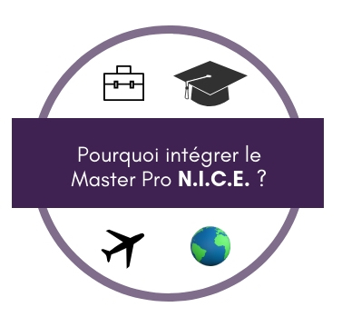 icone-raisons-integrer-le-master-2