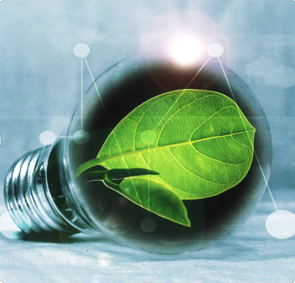 vous participerez à l'élaboration de projet d'innovation en équipe pour créer votre activité/entreprise basée sur l'économie de ressources et le respect de la planète vous participerez à l'élaboration de projet d'innovation en équipe pour créer votre activité/entreprise basée sur l'économie de ressources et le respect de la planète